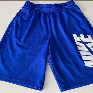 Nike Blue and White Athletic Shorts